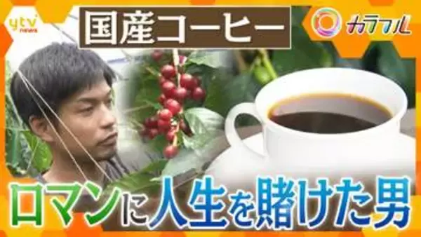 【奮闘】「自分はこのために生まれてきた」ゼロから挑んだ国産コーヒー　元看護師が追い求めた“ロマン”と販売までの苦い道のり