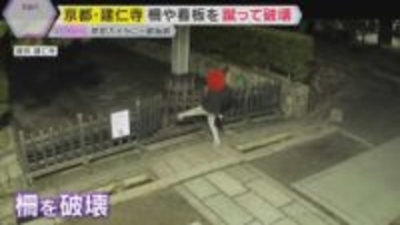 【防犯カメラ】深夜に立て看板や柵などを蹴って破壊する姿　「残念な気持ち」京都最古の禅寺・建仁寺