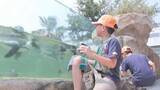 「夏休みの自由研究はどうする？「手助けになれば…」関西各地でイベント　化石発掘や飼育員体験も」の画像1