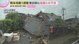 「【熊本地震1週間】復旧を阻む記録的猛暑と水不足　り災証明求め長い列…車中泊続く被災者に疲労と不安」の画像1