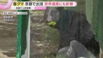“春グマ”被害相次ぐ　京都の観光名所付近に出没し世界遺産にも影響　ハンター育成にある“壁”とは？