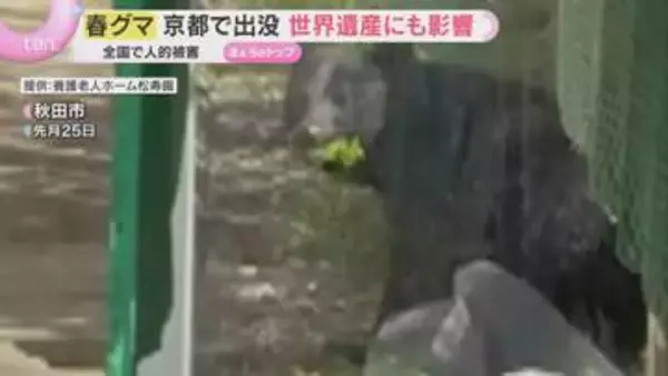 “春グマ”被害相次ぐ　京都の観光名所付近に出没し世界遺産にも影響　ハンター育成にある“壁”とは？