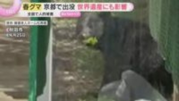 “春グマ”被害相次ぐ　京都の観光名所付近に出没し世界遺産にも影響　ハンター育成にある“壁”とは？