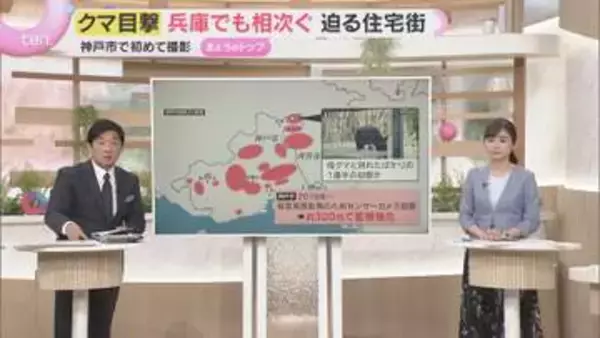 【クマ出没】神戸の山あいで初確認　西宮でも目撃　都市近郊の出没に警戒強化　住宅街での駆除に懸念も
