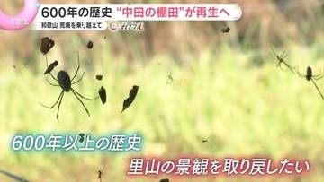 【再生】600年の歴史を未来へ！「美しき棚田」、荒廃からの復活を目指す人々の1年の記録
