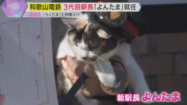 “ネコの駅長”で知られる貴志駅の3代目駅長は「よんたま」　新しいネコ社員もお披露目　和歌山電鉄