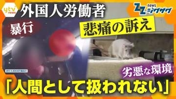 【悲痛】「気に食わないと殴る蹴る」ミャンマー人労働者が訴える劣悪な労働環境とセクハラ被害の実態　暴行疑惑の実質的経営者は雲隠れ…