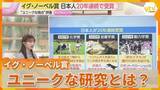 「【解説】日本人が20年連続受賞　過去のイグ・ノーベル章はこんなにもユニーク」の画像1