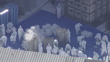 【速報】近畿で今季初「鳥インフルエンザ」陽性確認　24万羽の殺処分始める　兵庫・姫路市の養鶏場