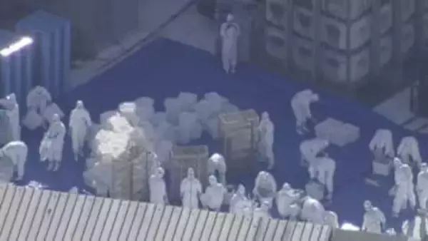 【速報】近畿で今季初「鳥インフルエンザ」陽性確認　24万羽の殺処分始める　兵庫・姫路市の養鶏場