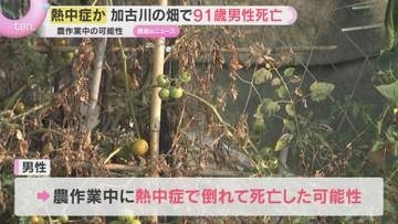 「隣の家の人が倒れている」加古川市の畑で９１歳男性死亡　熱中症の疑い　丹波篠山市の墓地でも男性死亡