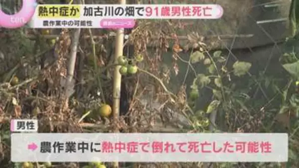 「隣の家の人が倒れている」加古川市の畑で９１歳男性死亡　熱中症の疑い　丹波篠山市の墓地でも男性死亡