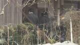「死体遺棄事件の可能性で本格捜査開始　安達結希くんの自宅を家宅捜索　警察は死因の特定を目指す方針」の画像1