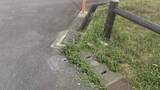 「「自宅敷地内にタイヤ痕つくのが嫌だった…」道路標識を切断　会社役員（48）を書類送検　大阪府警」の画像1