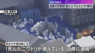 「死んだニワトリが増えている」近畿で今季初めて鳥インフル陽性確認　24万羽を殺処分　兵庫・姫路市