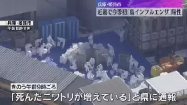 「死んだニワトリが増えている」近畿で今季初めて鳥インフル陽性確認　24万羽を殺処分　兵庫・姫路市