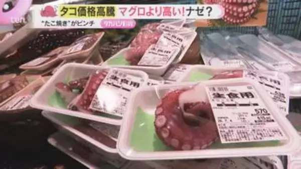 「家でたこ焼きができなくなる」タコ価格高騰で悲鳴　マグロより高い逆転現象も「漁獲高10分の1に」