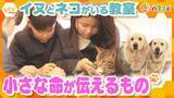「【共生】出会い、そして別れ…ネコとイヌが通う学校で「命」と向き合う　子どもたちの心を育む教科書に載っていない“学び”とは」の画像1