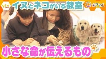 【共生】出会い、そして別れ…ネコとイヌが通う学校で「命」と向き合う　子どもたちの心を育む教科書に載っていない“学び”とは