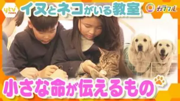 【共生】出会い、そして別れ…ネコとイヌが通う学校で「命」と向き合う　子どもたちの心を育む教科書に載っていない“学び”とは