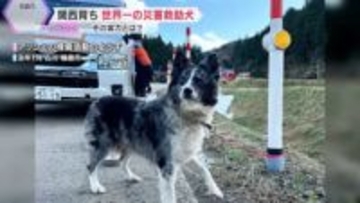 【特集】能登半島地震の捜索活動にも貢献　世界一の災害救助犬・アッシュ号、近づく引退の日　“家族以上”の指導手との絆「今後はやりたいことをさせてあげたい」
