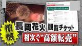 「【憤慨】3万2000円が18万円に！？｢長岡花火｣｢よさこい祭り｣で観覧チケット高額転売が横行…全国初の逮捕者も」の画像1