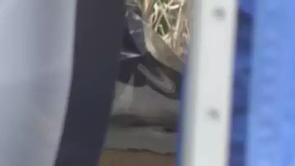 小6男児不明から3週間　男児のものか “黒色のナイキスニーカー”　発見現場周辺など13日も引き続き捜索