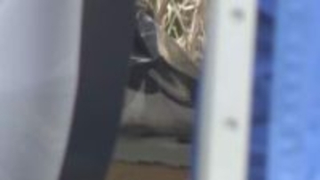 小6男児不明から3週間　男児のものか “黒色のナイキスニーカー”　発見現場周辺など13日も引き続き捜索