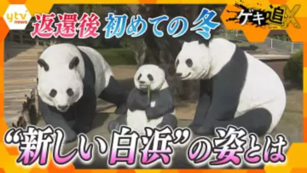 30年ぶり「パンダ不在の白浜」の閑散期・冬を迎えて　地域密着型の新たな観光の生き残り策とは