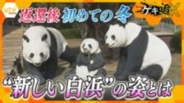 30年ぶり「パンダ不在の白浜」の閑散期・冬を迎えて　地域密着型の新たな観光の生き残り策とは