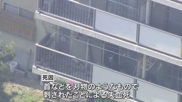 8日未明に何者かが襲撃か　室内から血のついた刃物など見つからず　集合住宅で母娘刺殺　大阪・和泉市