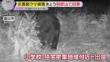 「“災害級”クマ被害各地で続く　和歌山でも目撃情報　被害防止の対策グッズ品薄も偽物スプレーに注意」の画像1