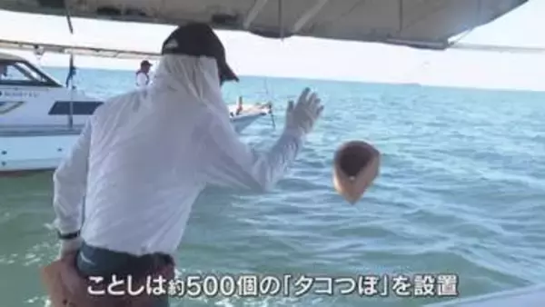 「昔からの豊かな海に戻るように」播磨灘に「タコつぼ」約500個投入　安定的な漁獲につなげる狙い　兵庫