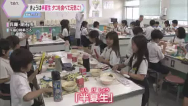 7月1日は『半夏生』田植えを終える目安の日　明石の小学校ではタコの給食を提供「ぷりぷりしている」