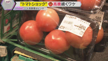トマトの値段が爆上がり！平年の2.4倍の高値に飲食店も悲鳴　豪雨の影響で熊本産トマトが品薄に