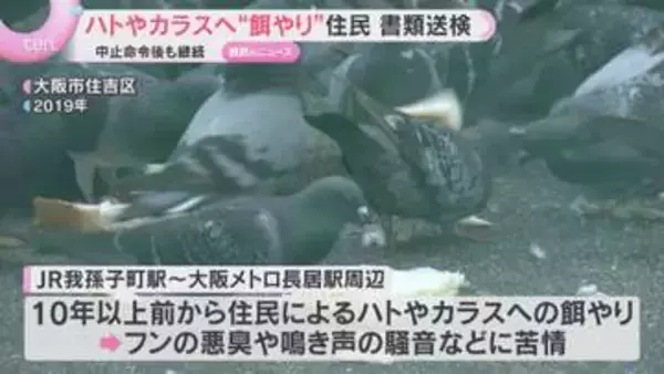 ハトやカラスへ"餌やり”続ける住民に対し動物愛護法違反の疑いで書類送検　中止命令後も違反行為