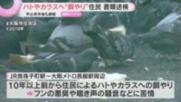 ハトやカラスへ"餌やり”続ける住民に対し動物愛護法違反の疑いで書類送検　中止命令後も違反行為