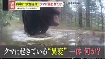 【警戒】人里に出没、ハンターも襲撃…各地でクマ被害続出　専門家が指摘するこれまでになかった“ある変化”とは