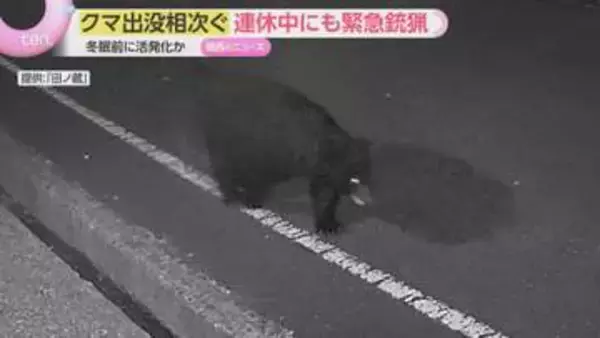 【クマ】豊岡市では緊急銃猟「白線の上を歩いていた、怖い」南丹市では道路を歩く姿　関西各地で出没相次ぐ