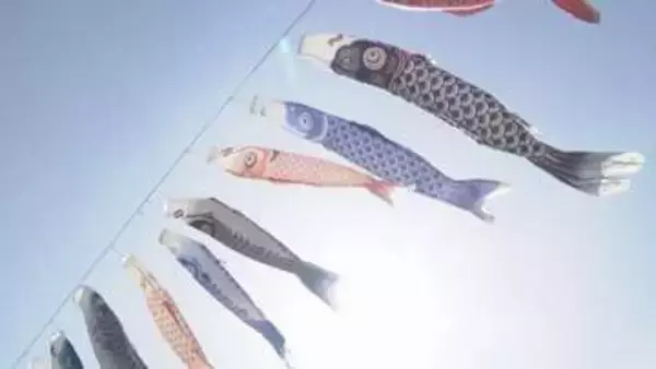 100匹ほどが青空に　こいのぼりの「丹生川渡し」子どもたちの成長願い今年で41回目　和歌山