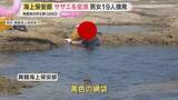 「サザエ200個を「密漁」か　舞鶴海上保安部が男女19人摘発　密漁の一部始終をカメラが…」の画像1
