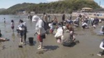 新舞子浜の潮干狩り　大型連休でにぎわう