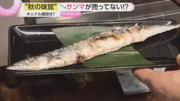 異常気象と海水温上昇で秋の味覚に異変　サンマは記録的不漁で高騰・品薄続く　カキや葉物野菜にも影響広がる