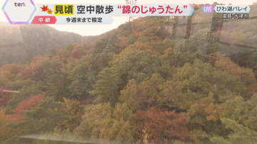 【紅葉中継】びわ湖バレイ①ロープウェイから眺める動く絶景　眼下に広がる紅葉のじゅうたん　滋賀