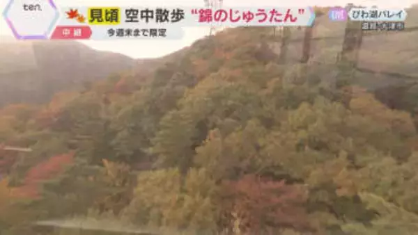 【紅葉中継】びわ湖バレイ①ロープウェイから眺める動く絶景　眼下に広がる紅葉のじゅうたん　滋賀