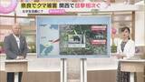 「【解説】もはや身近な存在？　相次ぐクマ出没　クマは増えているのか　遭遇しないためにどうすれば…」の画像1