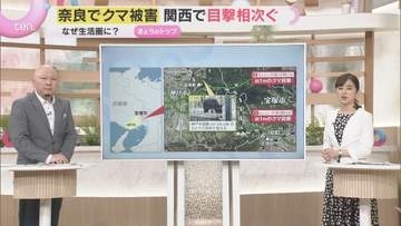 【解説】もはや身近な存在？　相次ぐクマ出没　クマは増えているのか　遭遇しないためにどうすれば…