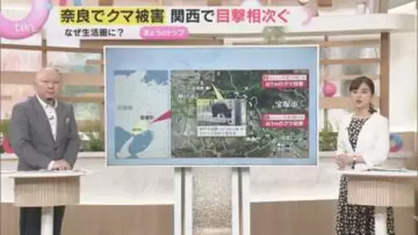 【解説】もはや身近な存在？　相次ぐクマ出没　クマは増えているのか　遭遇しないためにどうすれば…
