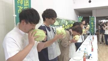とれたてキャベツを丸かぶり「アオムシさんってこんな気分？」　恒例「キャベツまつり」兵庫・豊岡市