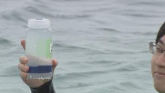 夏のシーズンを前に…「海開き」に向けて水質調査　透明度や大腸菌の数など9項目を評価　兵庫